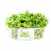 Fresh Arugula Salad