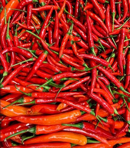 Chilli pepper for your soup and stew