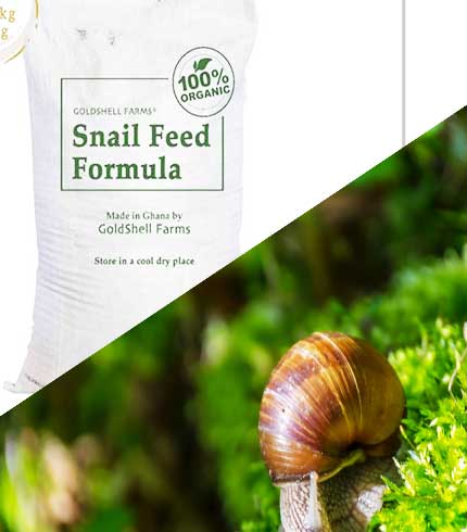Enhanced Snail feed
