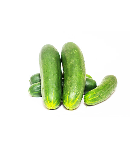 Organic and Crunchy Cucumber