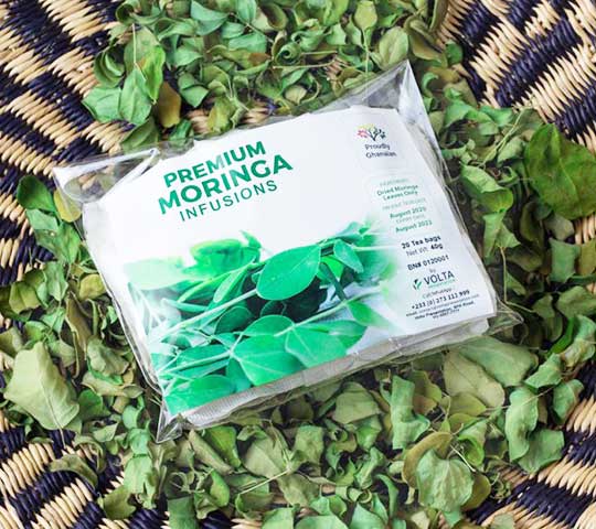 moringa infusion tea