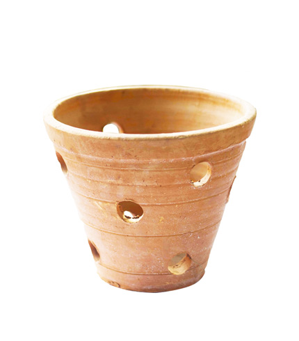 Wide V-Shaped Orchid Flowerpot