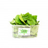 Fresh Organic Spinach