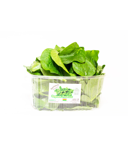 Fresh Organic Spinach